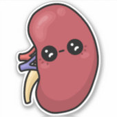 Schattige nier - Menselijke biologie Sticker (Voorkant)