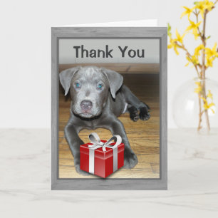 Schattige Nieuwe Huisdier Hond / Puppy Foto Bedank Kaart