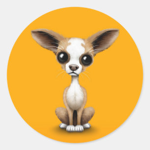 Schattige Nieuwsgierig Chihuahua met Grote Oren op Ronde Sticker