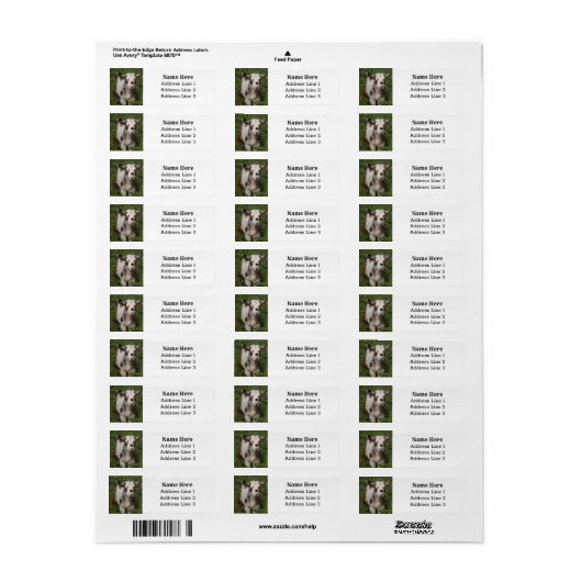 Schattige Nigeriaans Dwarf Dairy Goat Kind Retoura Etiket (Full Sheet)