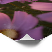 Schattige oktober egel met opal hart perfect poster (Hoek)