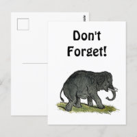 Schattige Olifant Cartoon, Schattigee Funny Zoo Vr