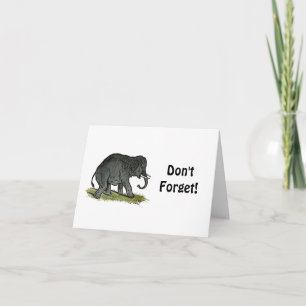 Schattige Olifant Cartoon, Schattigee Funny Zoo Vr Kaart