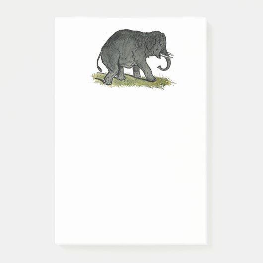 Schattige Olifant Cartoon, Schattigee Funny Zoo Vr Post-it® Notes (Voorkant)
