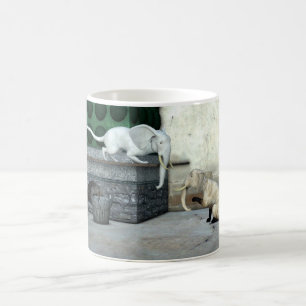 Schattige olifantenkatten koffiemok