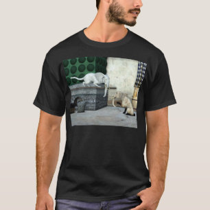 Schattige olifantenkatten t-shirt