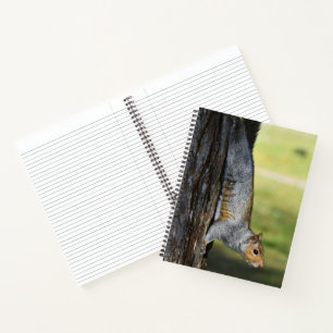Schattige oostelijke grijze eekhoorn natuurfoto notitieboek