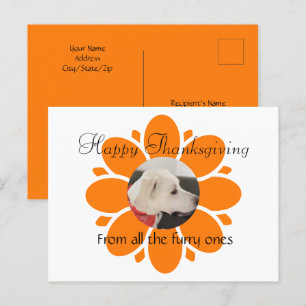 Schattige Oranje Bloem Mum Lijst voor Pet Photo Briefkaart