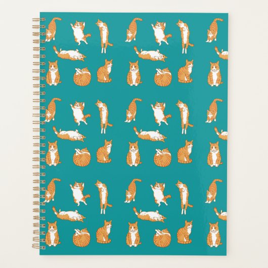 Schattige Oranje Kat Houdingen Planner (Voorkant)