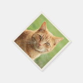 Schattige oranje kattenportret servet (Hoek)