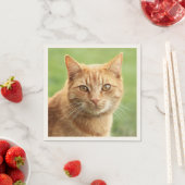 Schattige oranje kattenportret servet (Insitu)