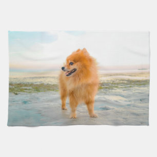 Schattige oranje Pomeranian op zandstrand Theedoek