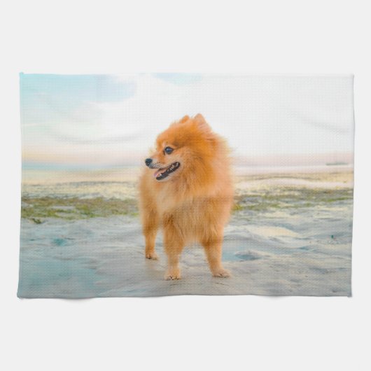 Schattige oranje Pomeranian op zandstrand Theedoek (Horizontaal)
