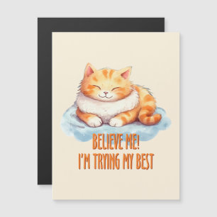 Schattige Oranje Tabby Cat- Ik probeer mijn best