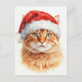 Schattige oranje tabbykat in kerstmuts feestdagenkaart