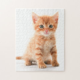 Schattige Oranje tablet Kitten Jigzaag Puzzle Legpuzzel