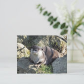 SCHATTIGE OTER BRIEFKAART (Staand voorkant)