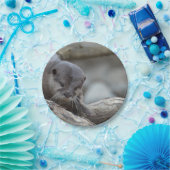 Schattige otter papieren bordje (Feest)
