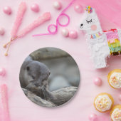 Schattige otter papieren bordje (Feest)