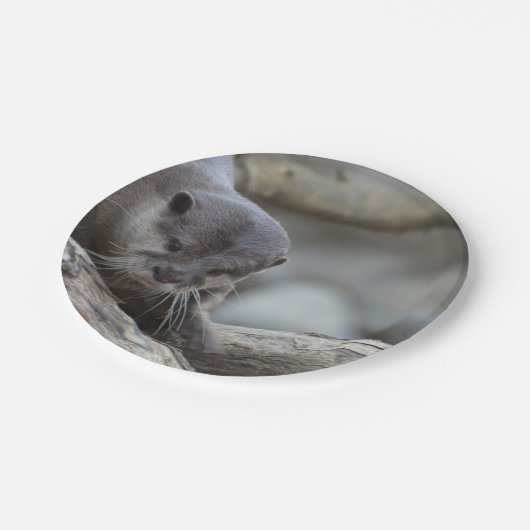 Schattige otter papieren bordje (Gekanteld)