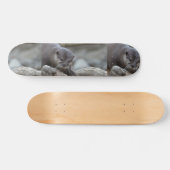Schattige otter skateboard (Horizontaal)
