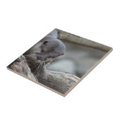 Schattige otter tegeltje (Zijkant)
