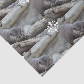Schattige otter tissuepapier (Detail)