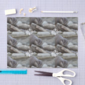 Schattige otter tissuepapier (Craft)