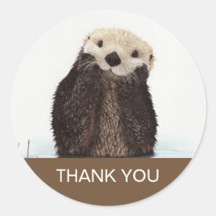 Schattige Otter Wildlife Afbeelding Dank u Ronde Sticker