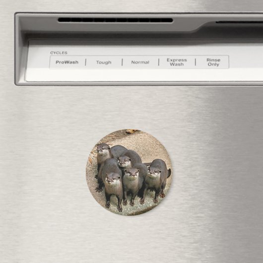 Schattige otterfamilie magneet (Insitu (Vaatwasser))
