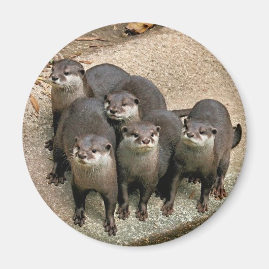 Schattige otterfamilie magneet (Voorkant)