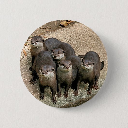 Schattige otterfamilie ronde button 5,7 cm (Voorkant)