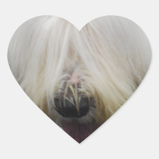 Schattige Oud Engels Sheepdog Stickers (Voorkant)