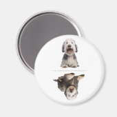 Schattige Oude Engelse Herdershond Magnetronmagnee Magneet (Voorkant / Achterkant)