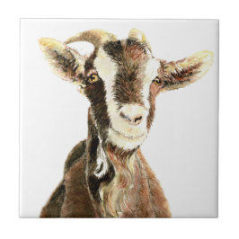 Schattige Oude Geit, Boerderijdier Humor Tegeltje