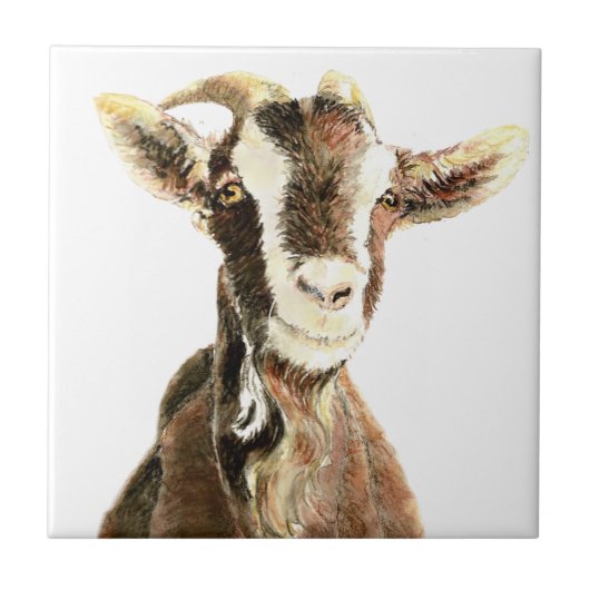 Schattige Oude Geit, Boerderijdier Humor Tegeltje (Voorkant)