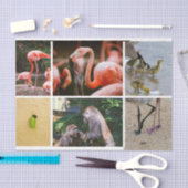 Schattige Ouderschap Dieren Schattige levensfasen  Tissuepapier (Craft)