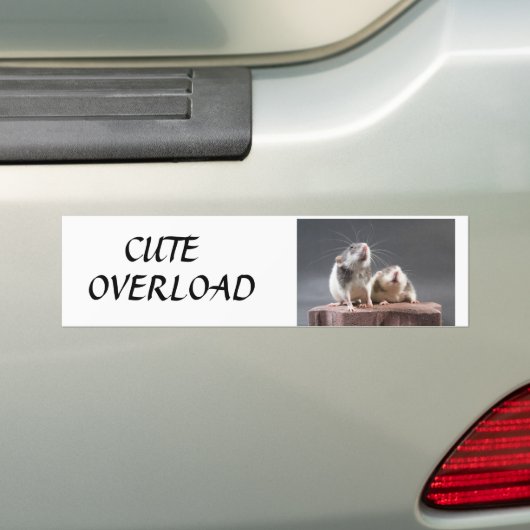 schattige overbelasting bumpersticker (Op auto)