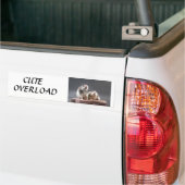 schattige overbelasting bumpersticker (Op Truck)