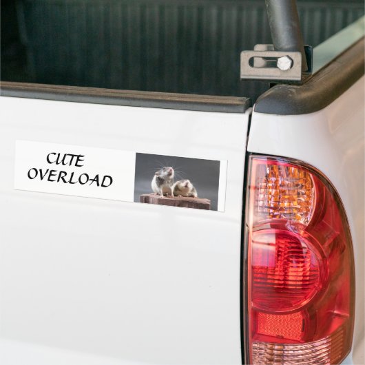 schattige overbelasting bumpersticker (Op Truck)