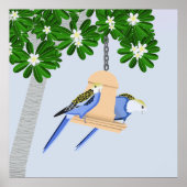 Schattige paar speelse papegaaien Rosellas Poster (Voorkant)