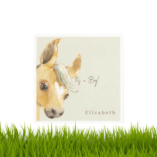 Schattige Paard Het is een Boy Baby shower Cocktai Servet