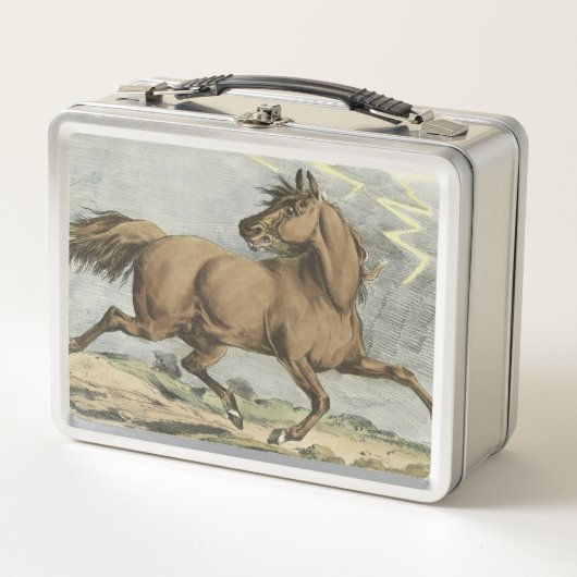 schattige  paardenliefhebbers (Voorkant)