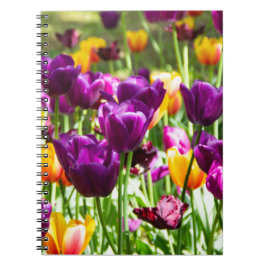 Schattige paarse en gele tulpen notitieboek