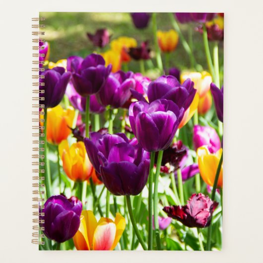 Schattige paarse en gele tulpen planner (Voorkant)