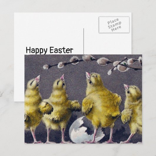 Schattige paaskuikens  feestdagenkaart (Voorkant / Achterkant)