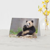 Schattige Panda knabbelen Bamboe wenskaart Kaart (Gele Bloem)