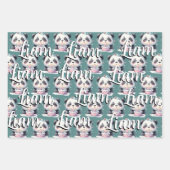 Schattige Panda Patroon Verjaardag Jongen Groen Inpakpapier Vel (Voorkant)