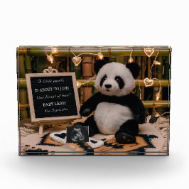 Schattige Panda Plushie zwangerschapsaankondiging Fotoblokken