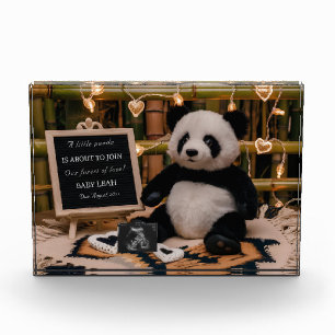 Schattige Panda Plushie zwangerschapsaankondiging Fotoblokken